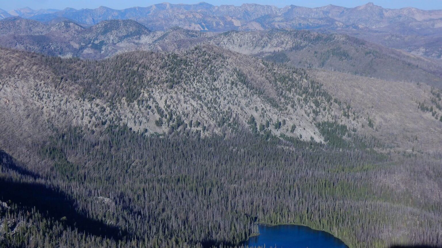 Frank Church-River of No Return Wilderness, vast wilderness viewed from Roughneck Lookout, July