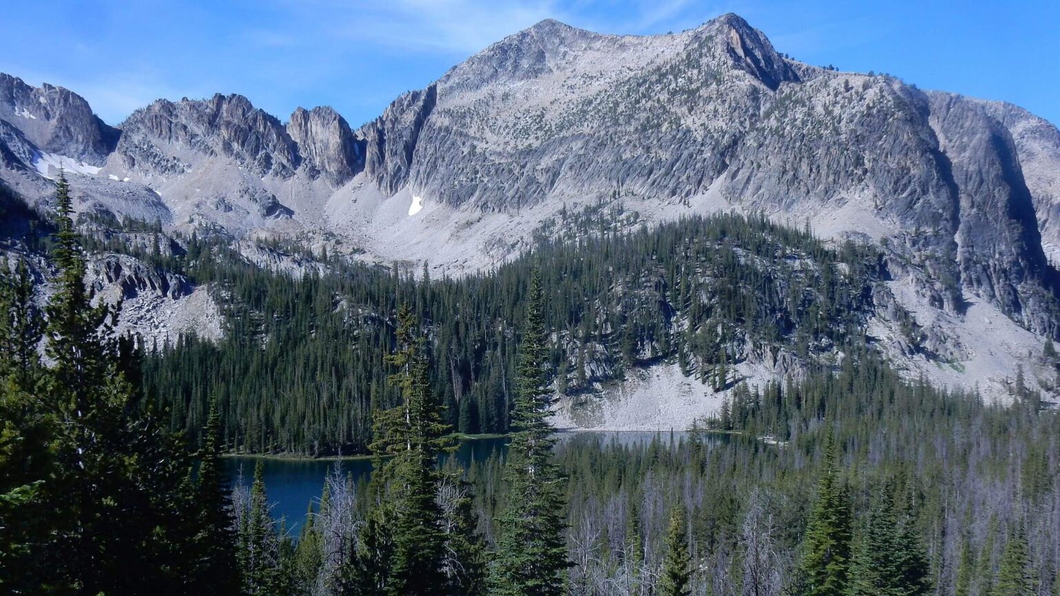 Frank Church-River of No Return Wilderness, Mount McGuire, August