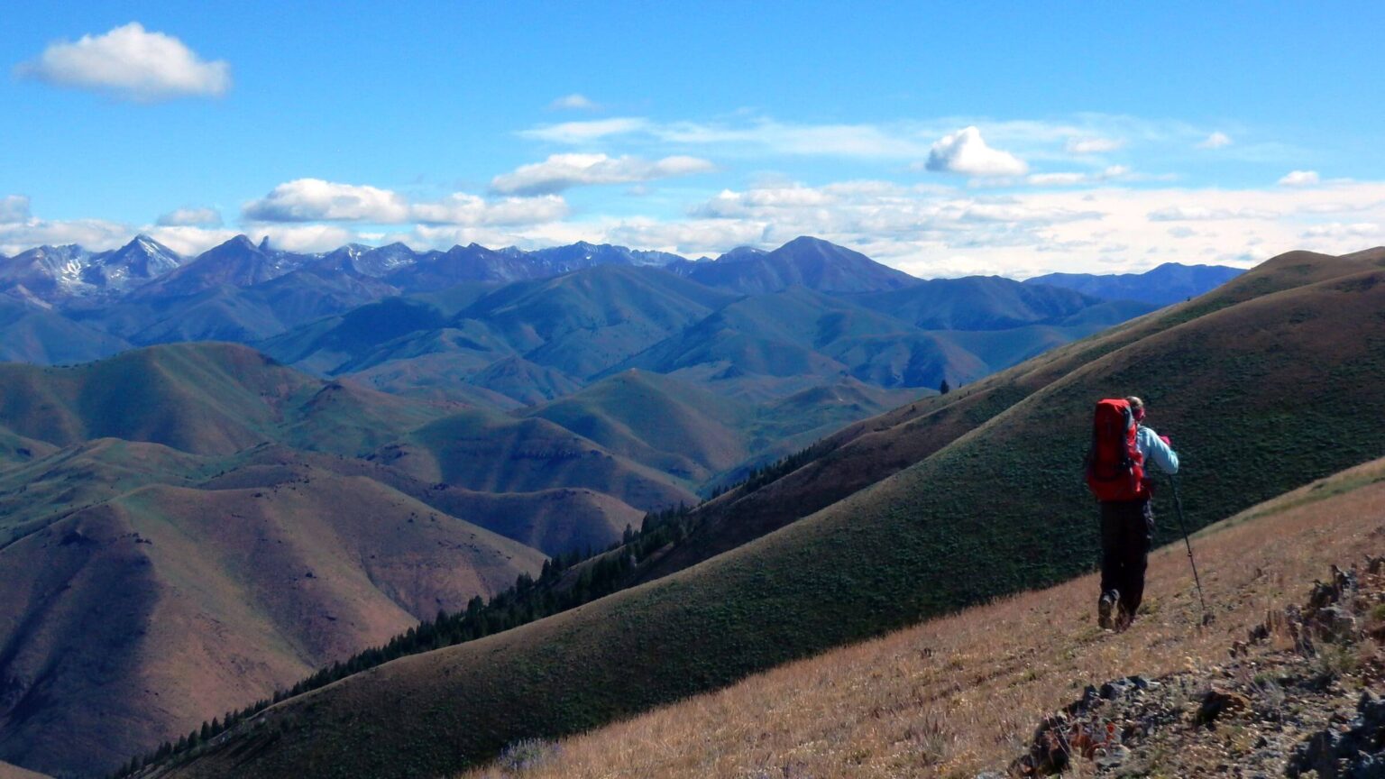 Pioneer Wilderness Study Area, Pioneer Mountains, July