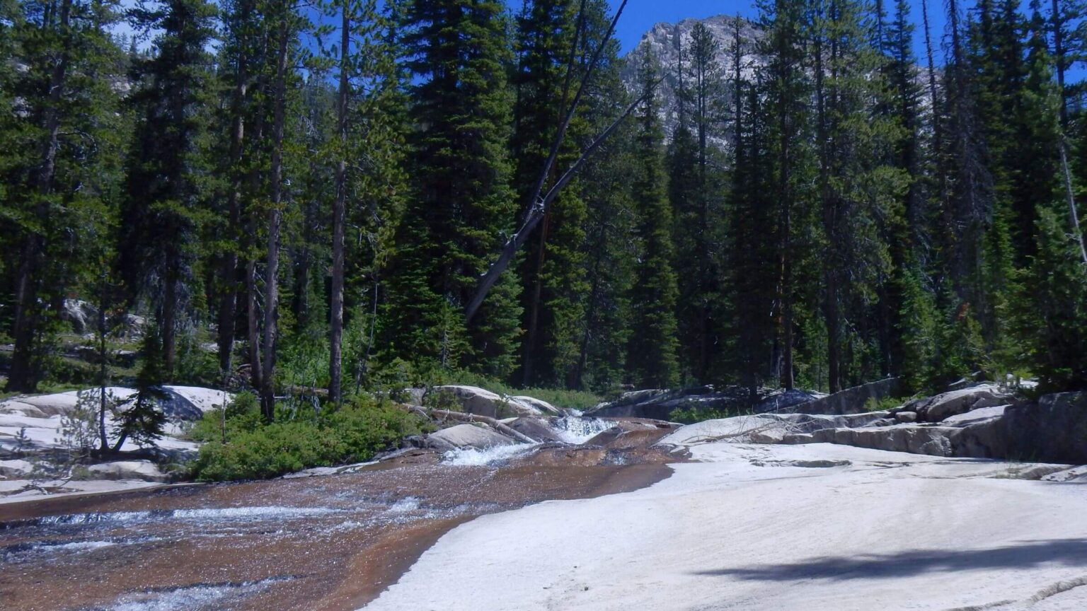 Sawtooth Wilderness, Benedict Creek, July