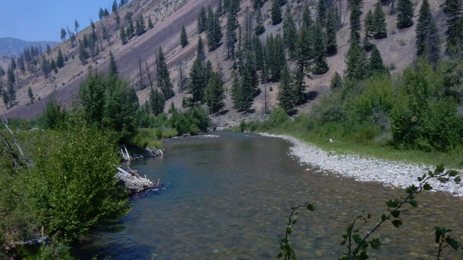 Frank Church-River of No Return Wilderness, Loon Creek, August