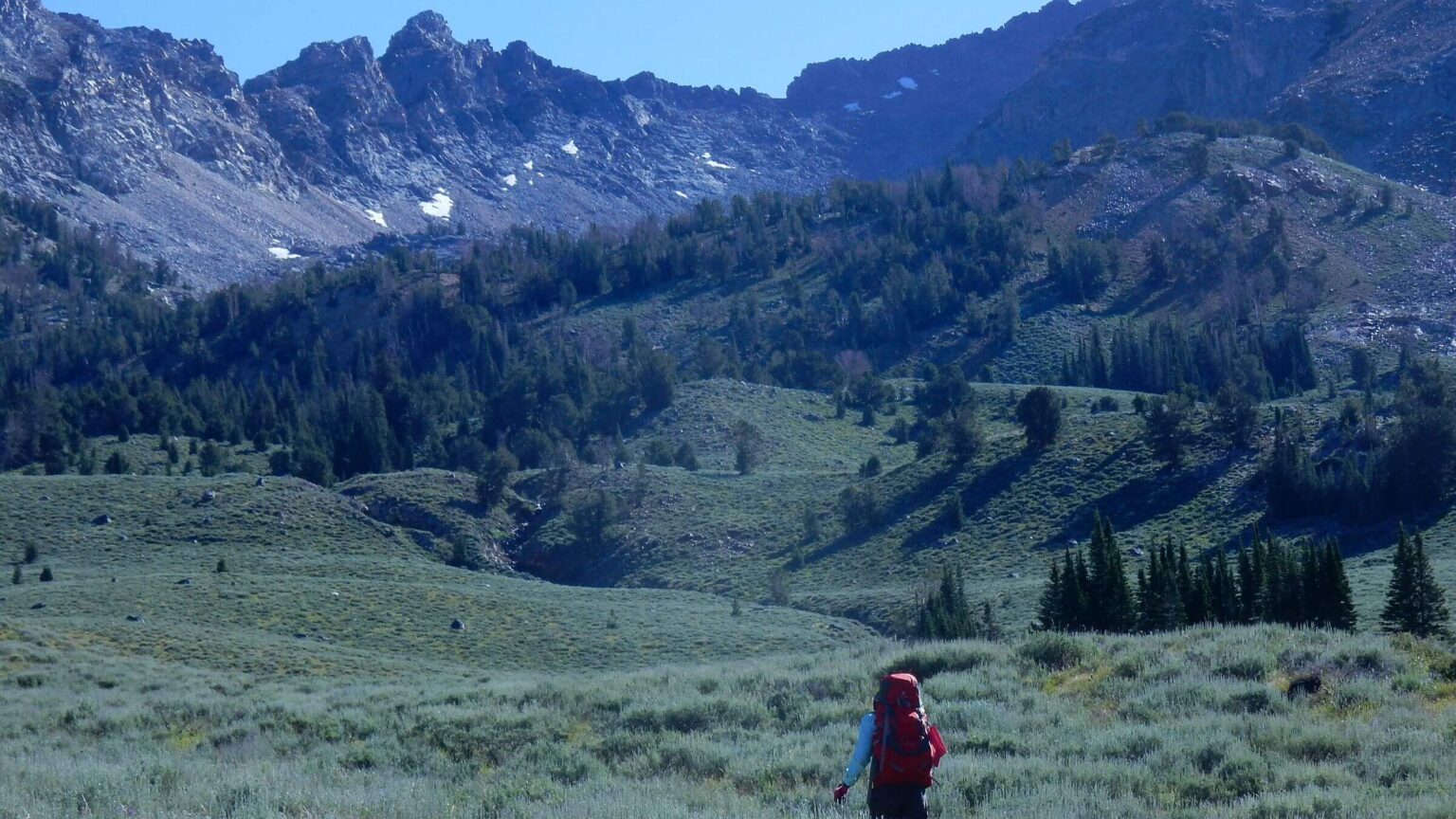 Pioneer Wilderness Study Area, cross-country route, July