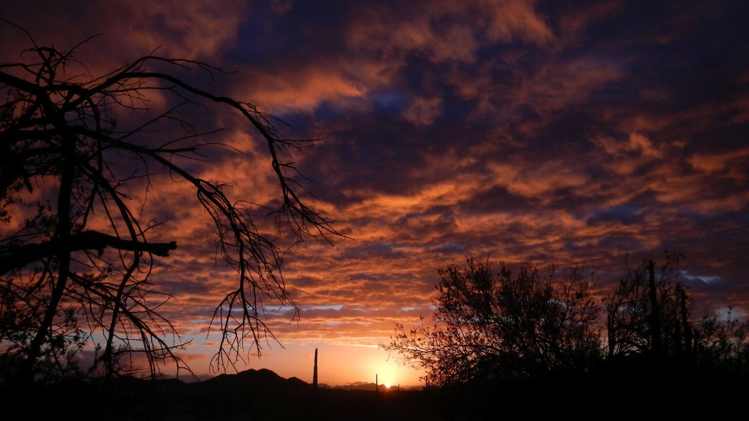 Cabeza Prieta Wilderness, backpacking, stormy sunrise, February