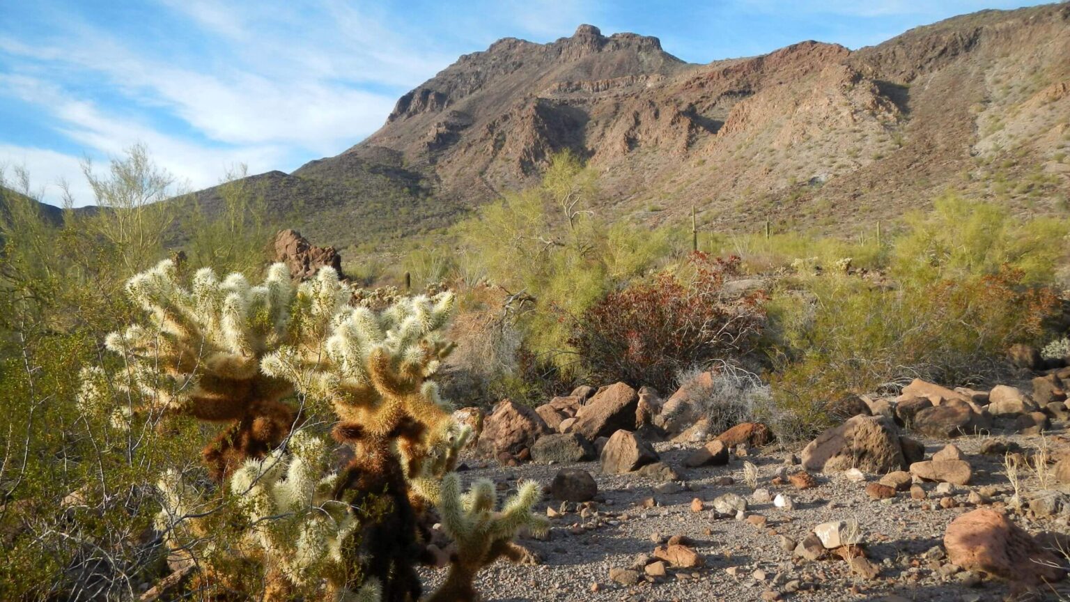 Cabeza Prieta Wilderness, backpacking Growler Mountain, January