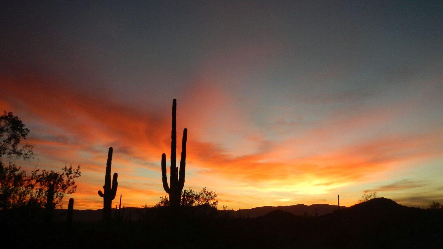 Cabeza Prieta Wilderness, backpacking Granite Tank, sunrise, January