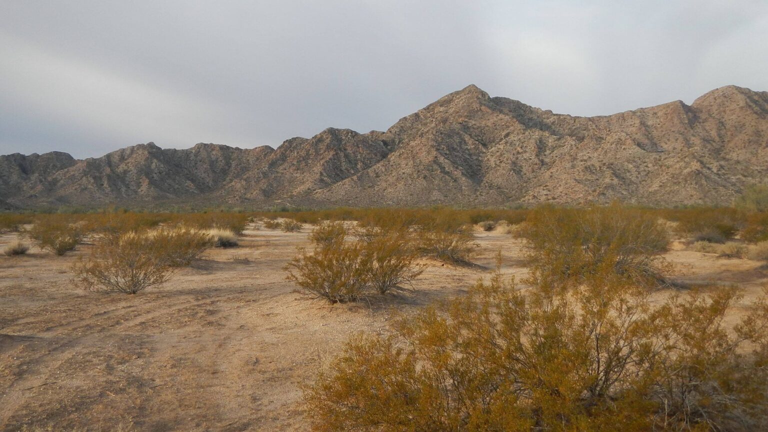 Cabeza Prieta Wilderness, backpacking Granite Mountains, January