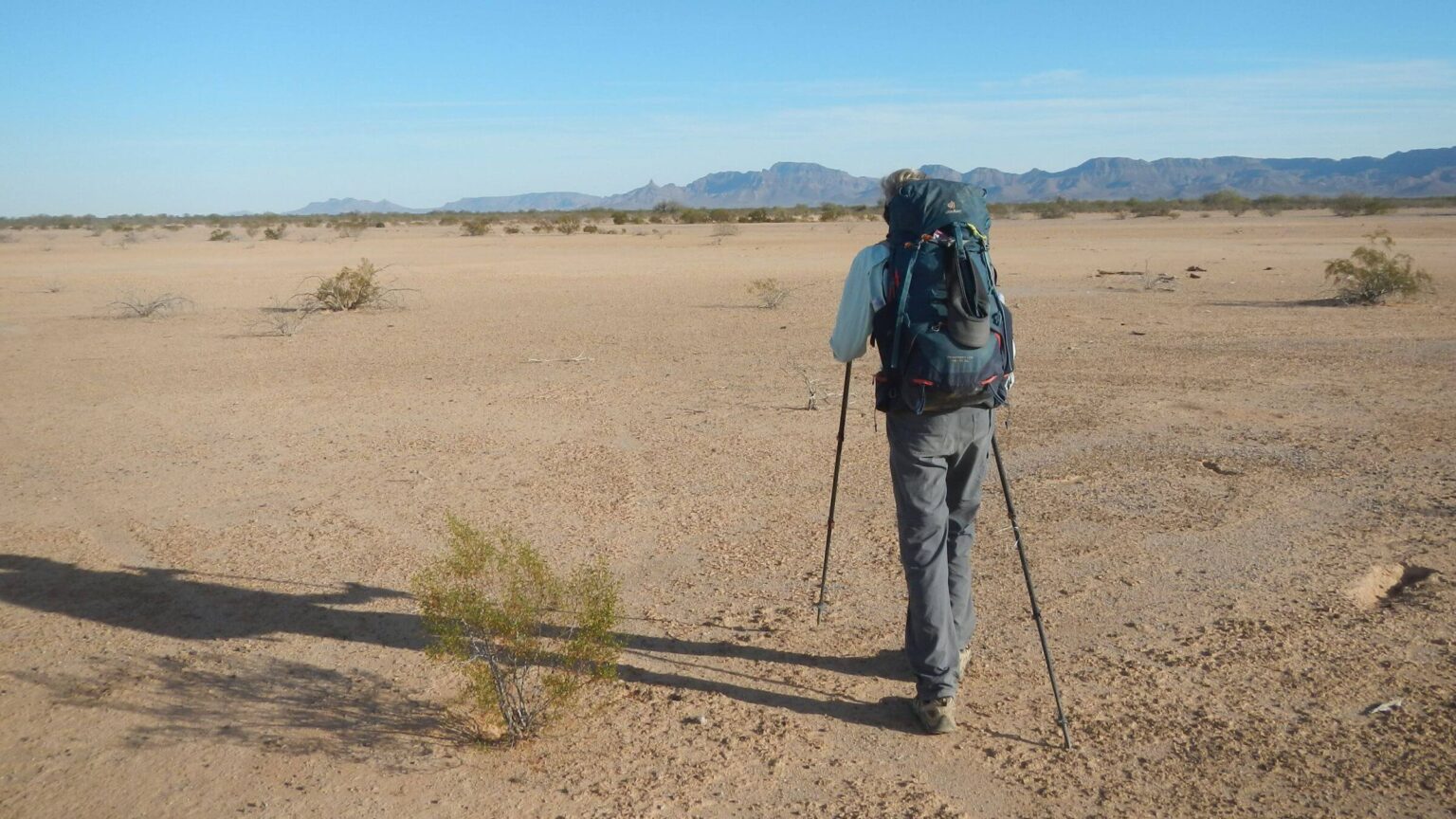 Cabeza Prieta Wilderness, backpacking, cross-country to Sheep Peak, January