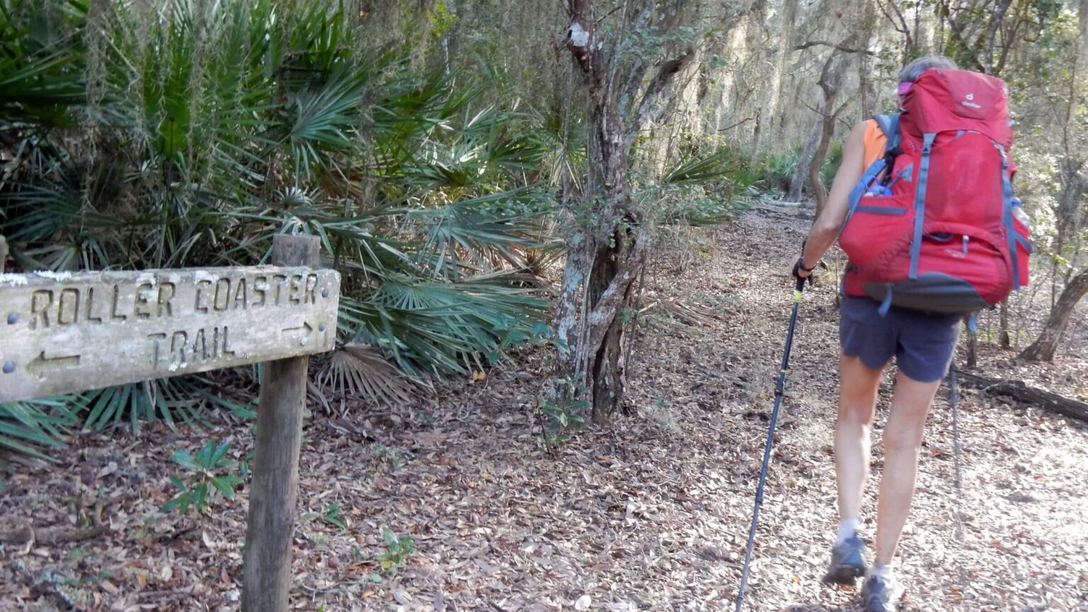 Cumberland Island Wilderness, trails marked, November