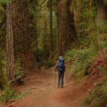 Olympic (DJ Evans) Wilderness, Hoh River