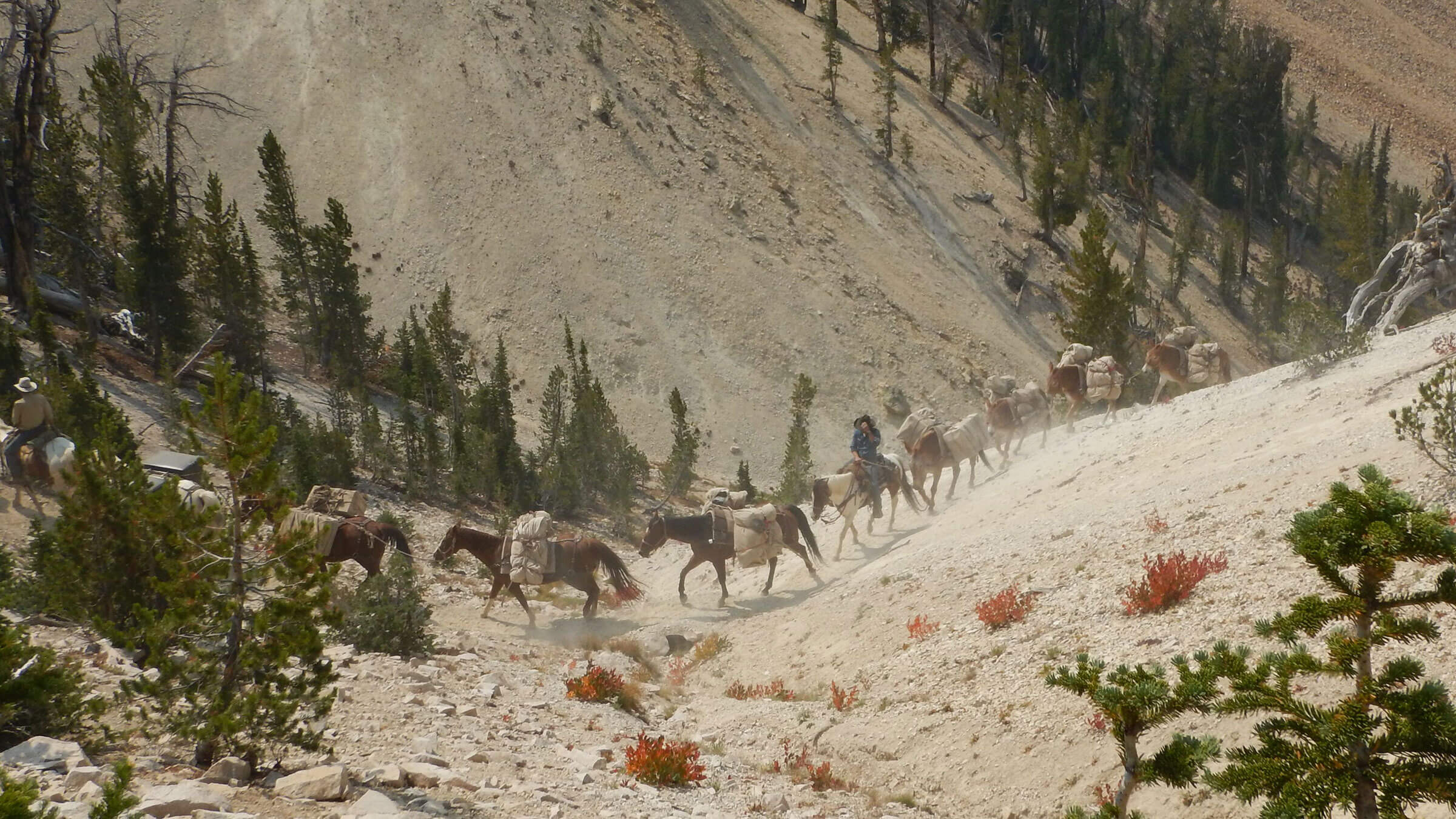 Sawtooth Wilderness, outfitter pack-string adds to trail overuse, September