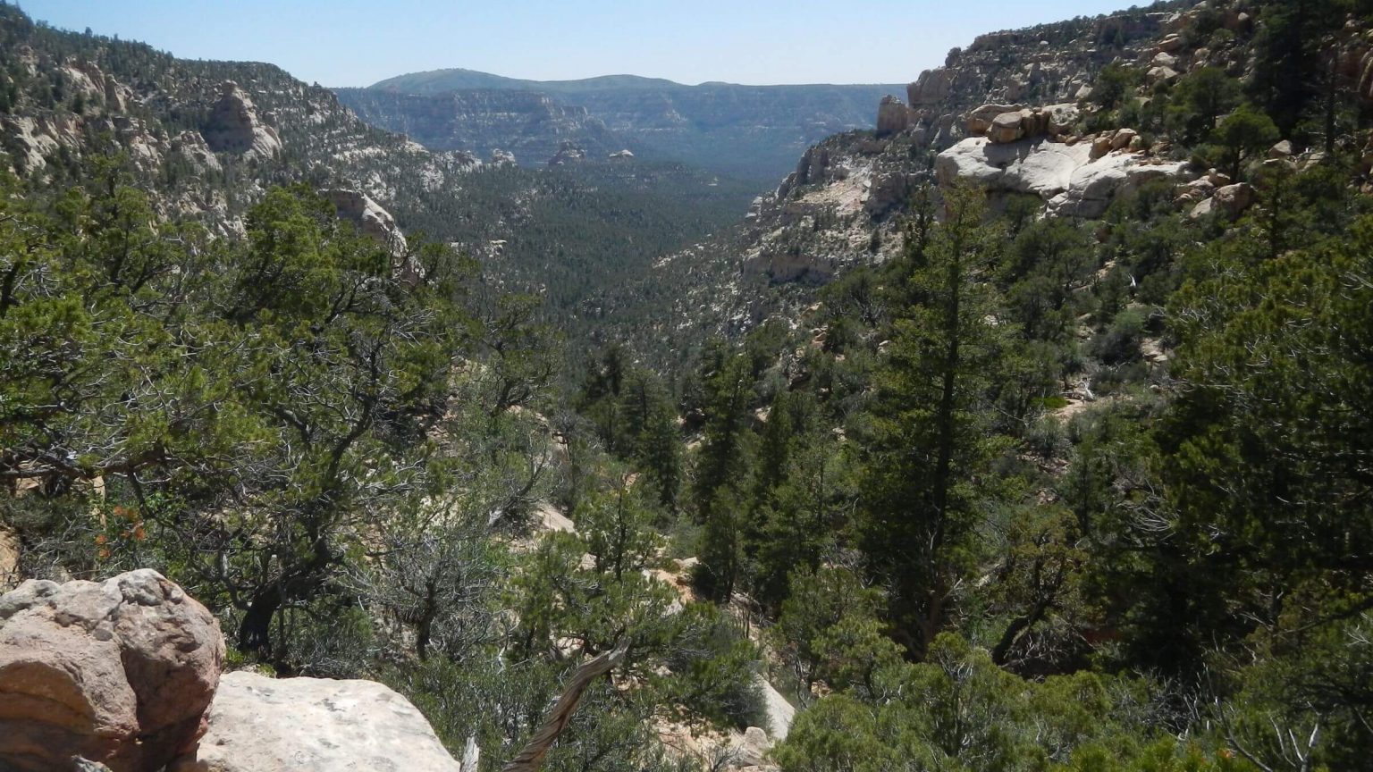 Dark Canyon Wilderness, rim view of canyon, May