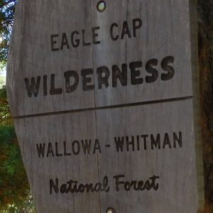 Eagle Cap Wilderness, wilderness sign, July