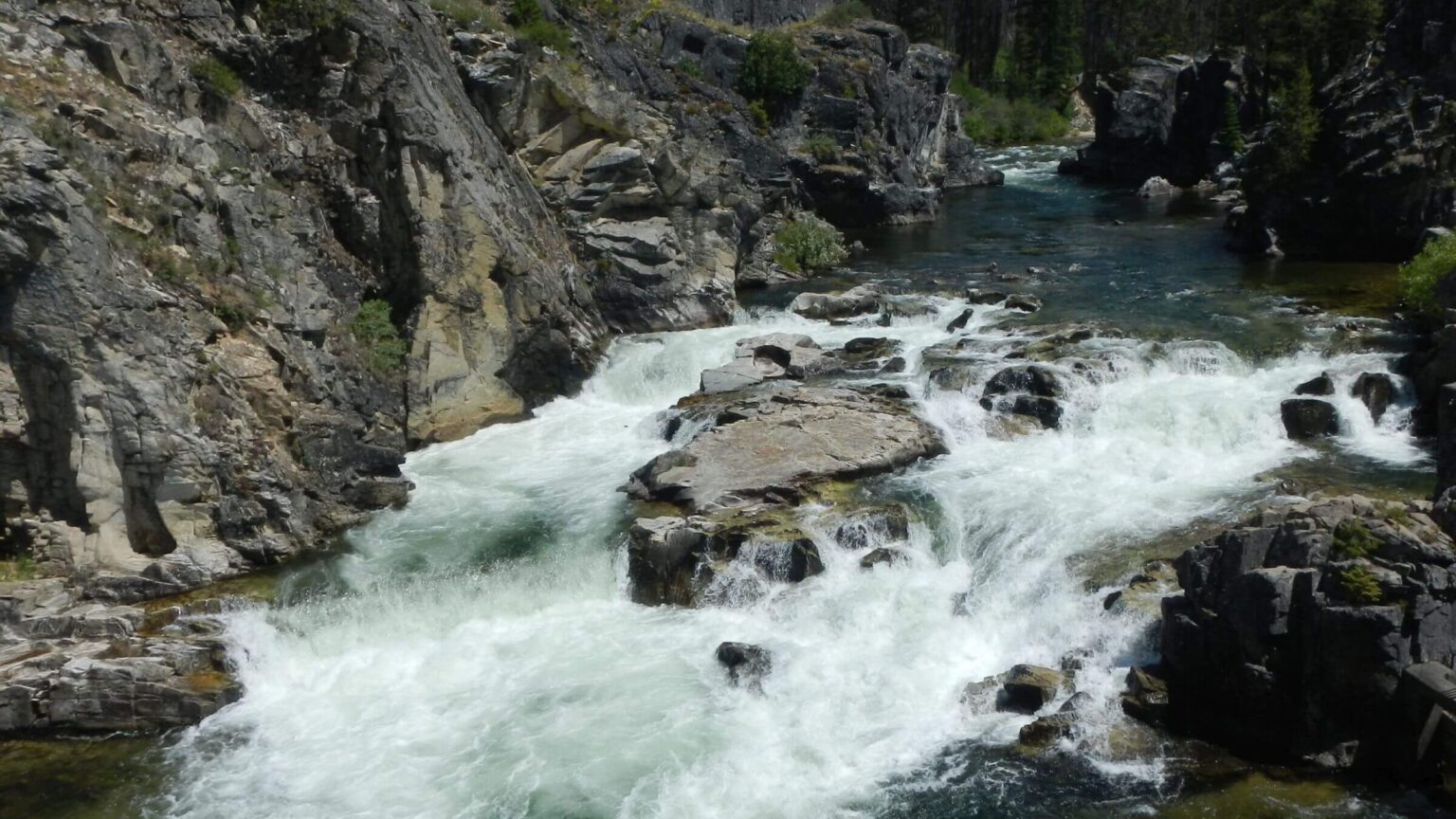 Frank Church Wilderness, Dagger Falls, Middle Fork Salmon, July 2025
