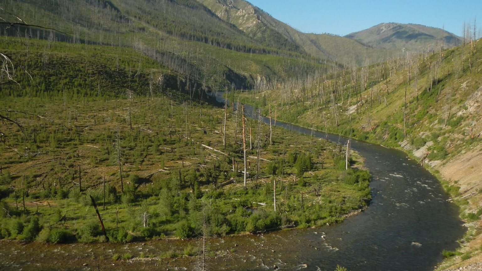 Frank Church Wilderness, 2007 Cascade Complex Fire, Middle Fork Salmon, July 2025