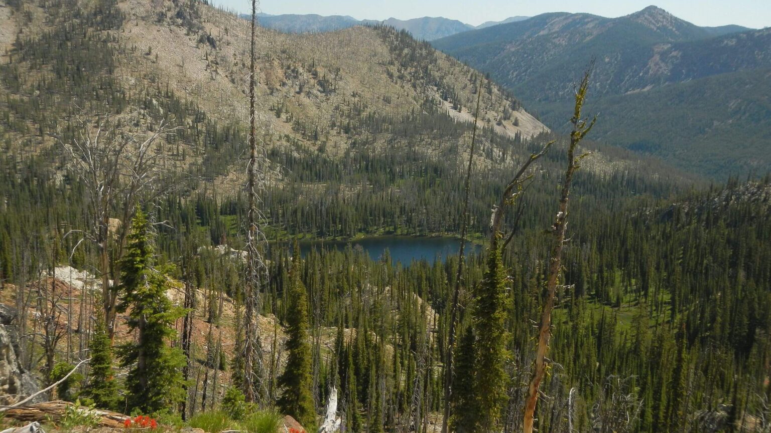 Frank Church Wilderness, Pistol Lake, July 2025