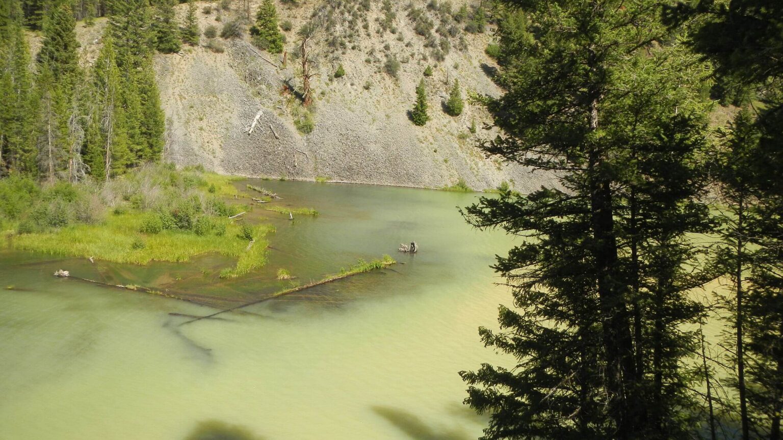 Frank Church Wilderness, Roosevelt Lake turbidity, July 2025