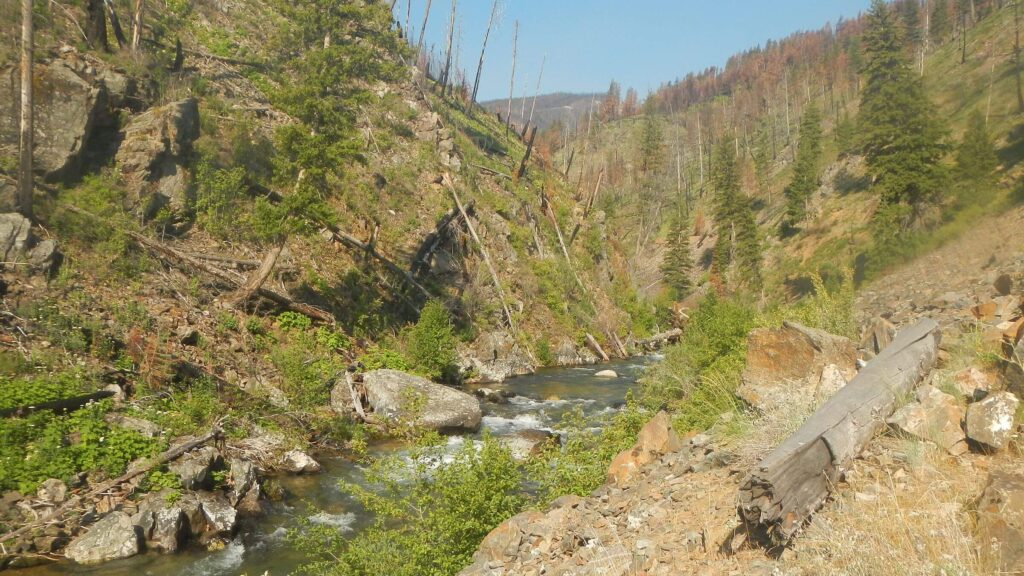 Frank Church Wilderness, 1 yr ago Logan Fire, Big Creek, July 2025
