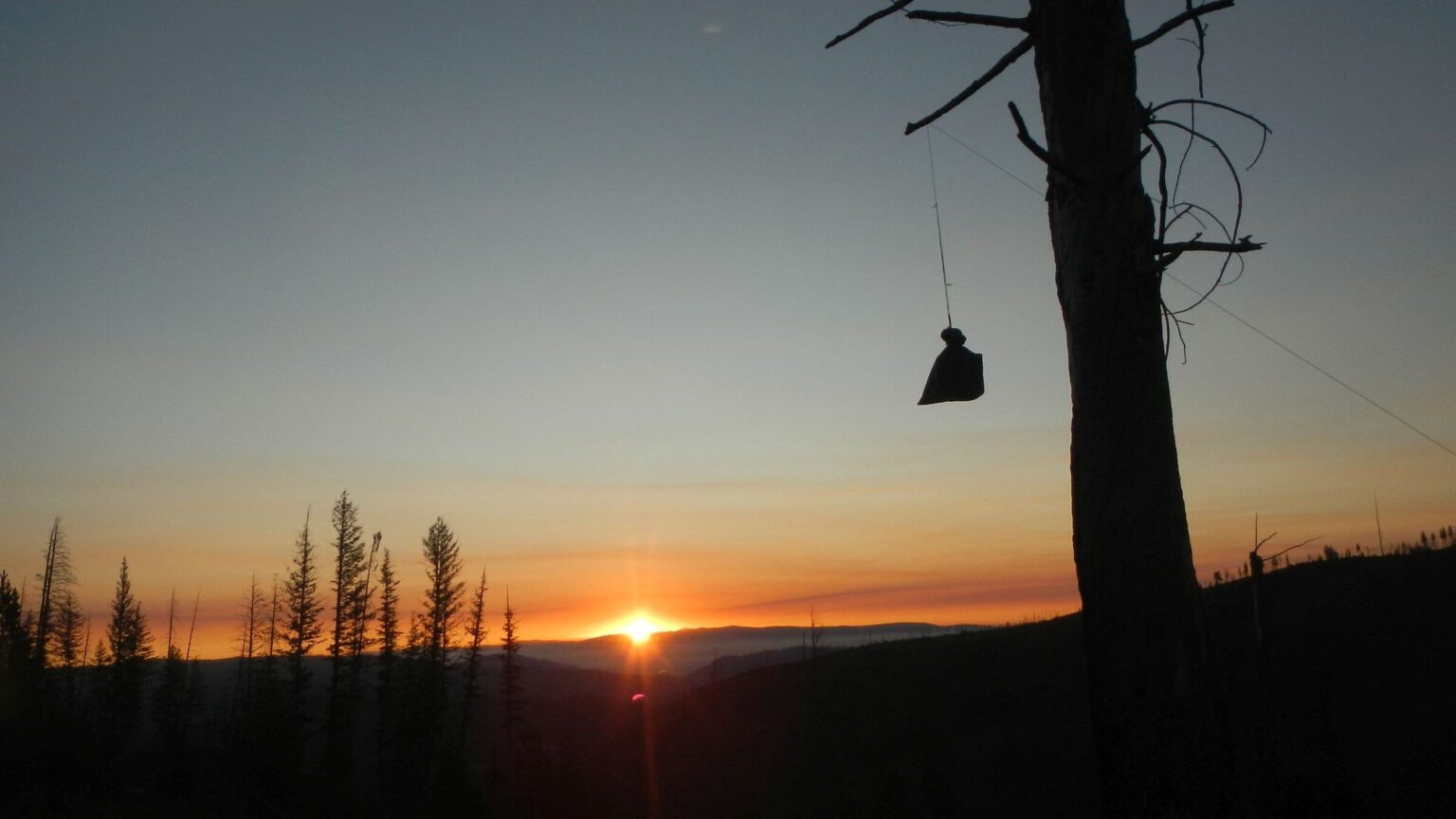 Frank Church Wilderness, Sunrise bear bag retrieval, Chamberlain Trail, July 2025