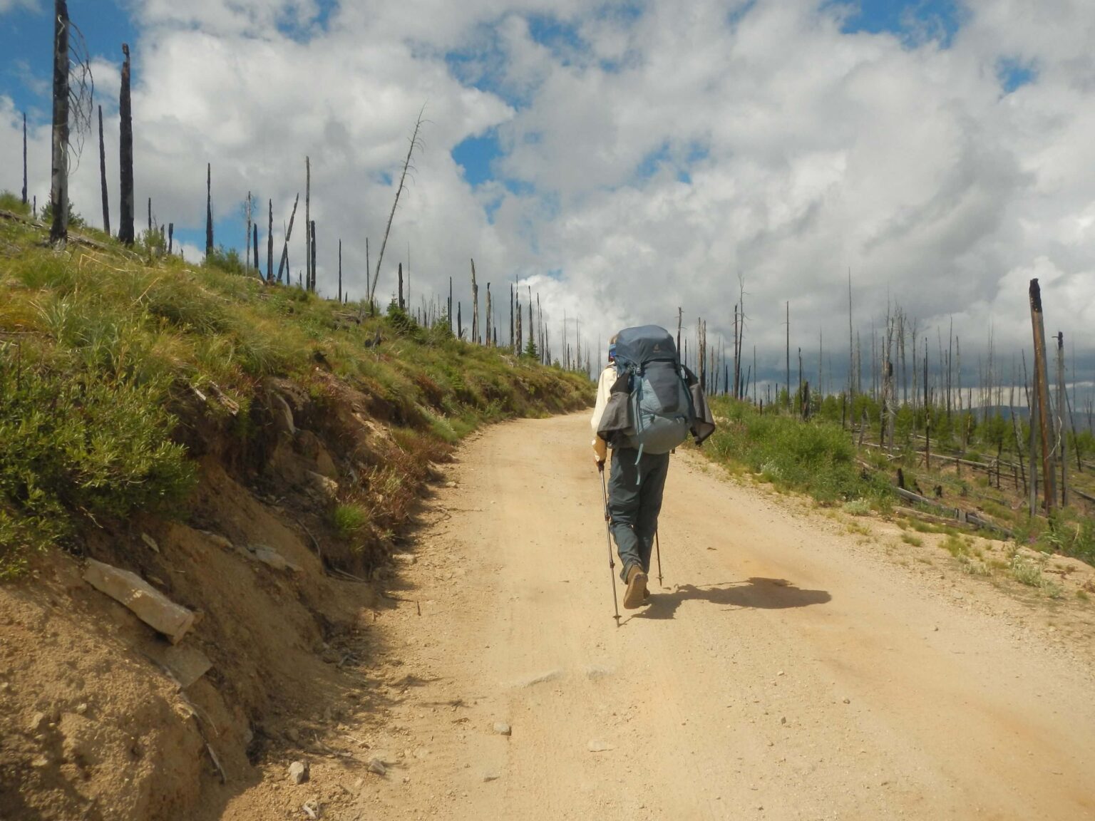 Frank Church Wilderness, Magruder Road Corridor, July 2025