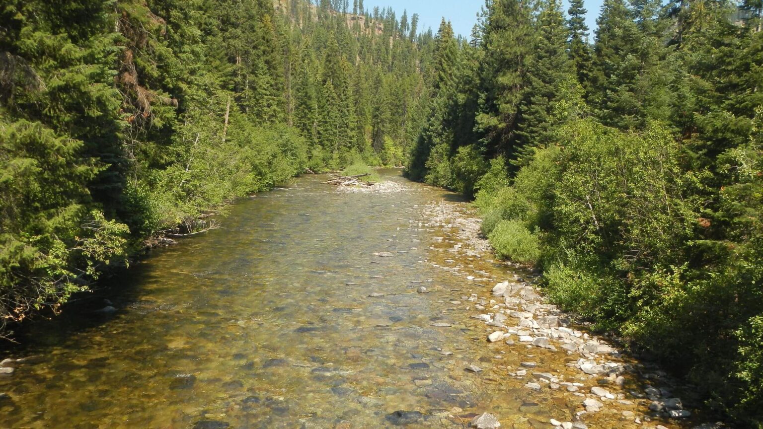 Selway-Bitterroot Wilderness, Selway River, July 2025