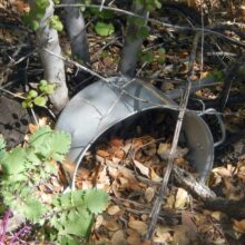 Four Peaks Wilderness, backpacking, old camp pot, April