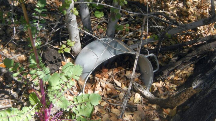 Four Peaks Wilderness, backpacking, old camp pot, April