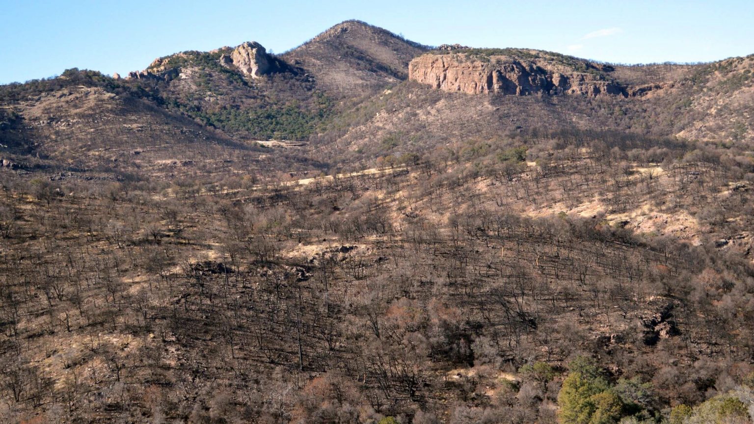 Galiuro Wilderness, 2014 Oak Fire, January