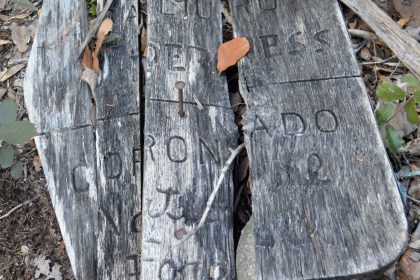 Galiuro Wilderness, Forest Service sign, January