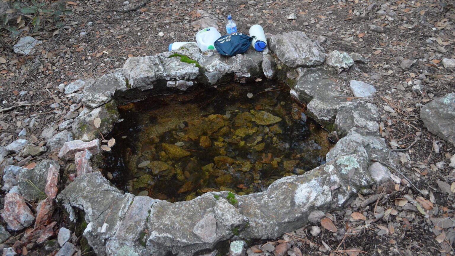 Galiuro Wilderness, Holdout Spring, January