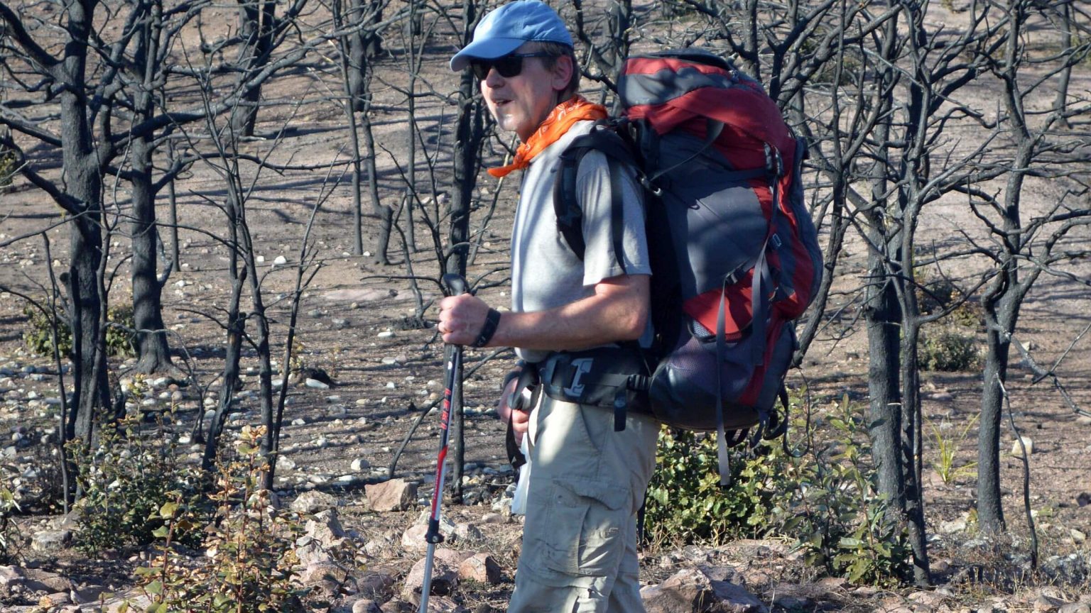 Galiuro Wilderness, 2014 Oak Fire burned severely, January