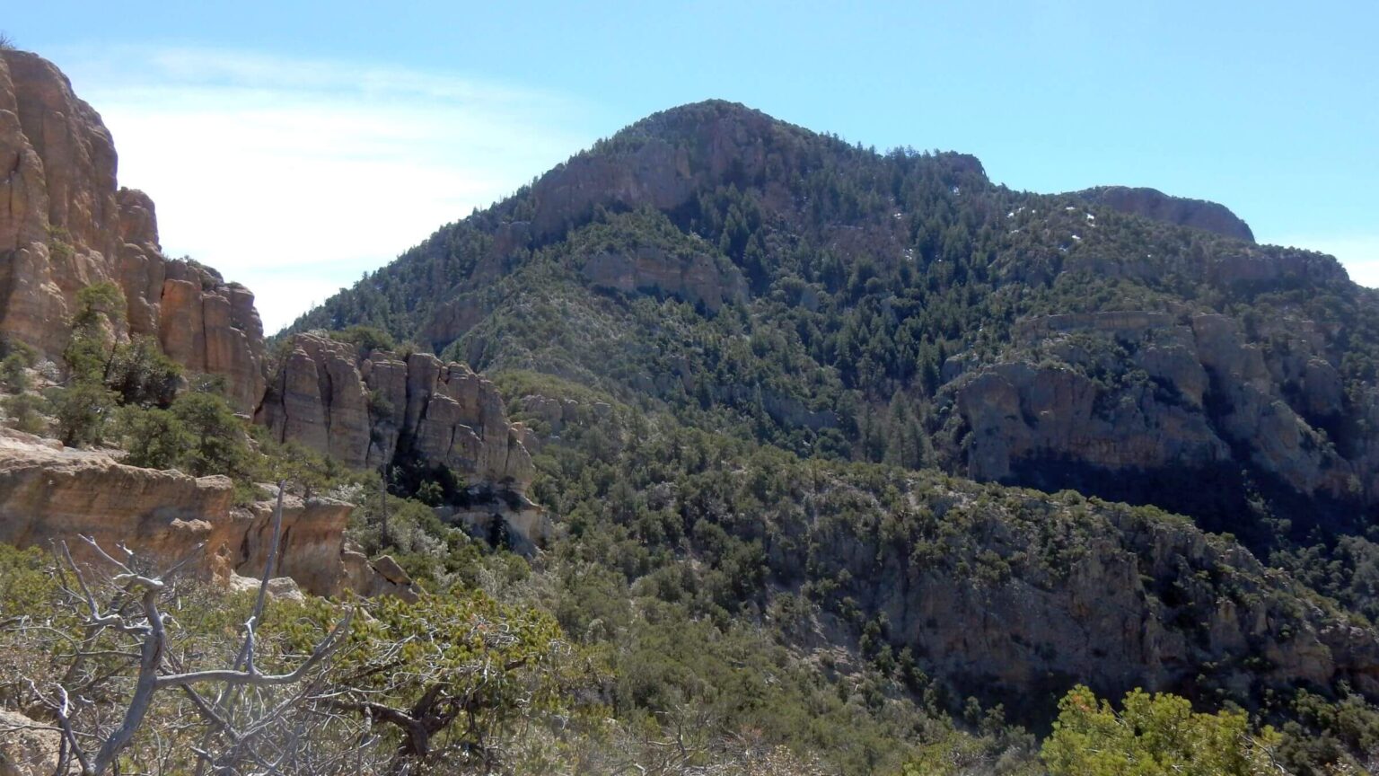 Galiuro Wilderness, Bassett Peak, January