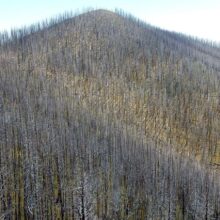 Gila Wilderness, backpacking, 2015 Whitewater-Baldy complex Fire, September