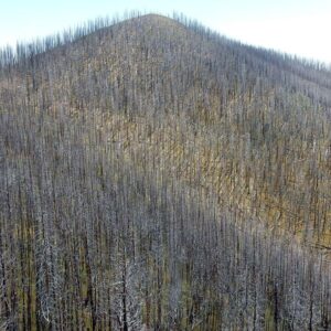 Gila Wilderness, backpacking, 2015 Whitewater-Baldy complex Fire, September