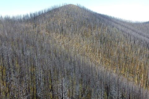 Gila Wilderness, backpacking, 2015 Whitewater-Baldy complex Fire, September