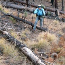 Gila Wilderness, backpacking, Langstroth Trail, November