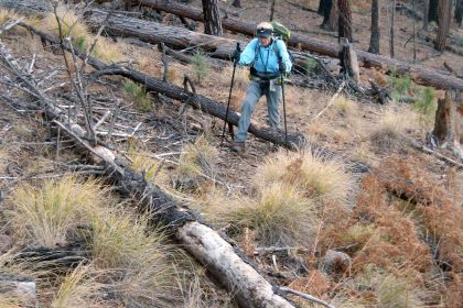 Gila Wilderness, backpacking, Langstroth Trail, November