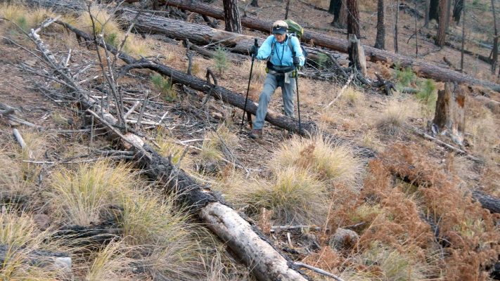 Gila Wilderness, backpacking, Langstroth Trail, November