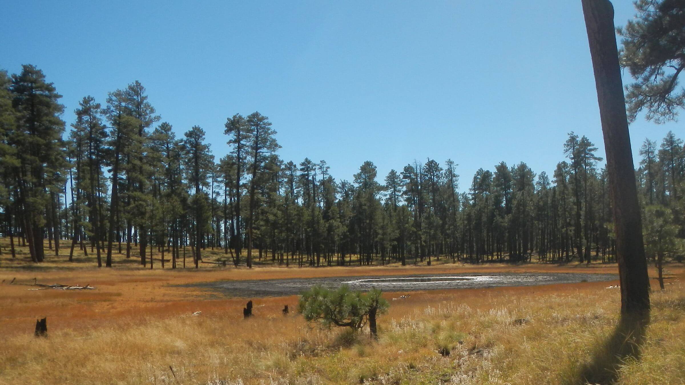 Gila Wilderness, Iron Creek Lake, November, 2023