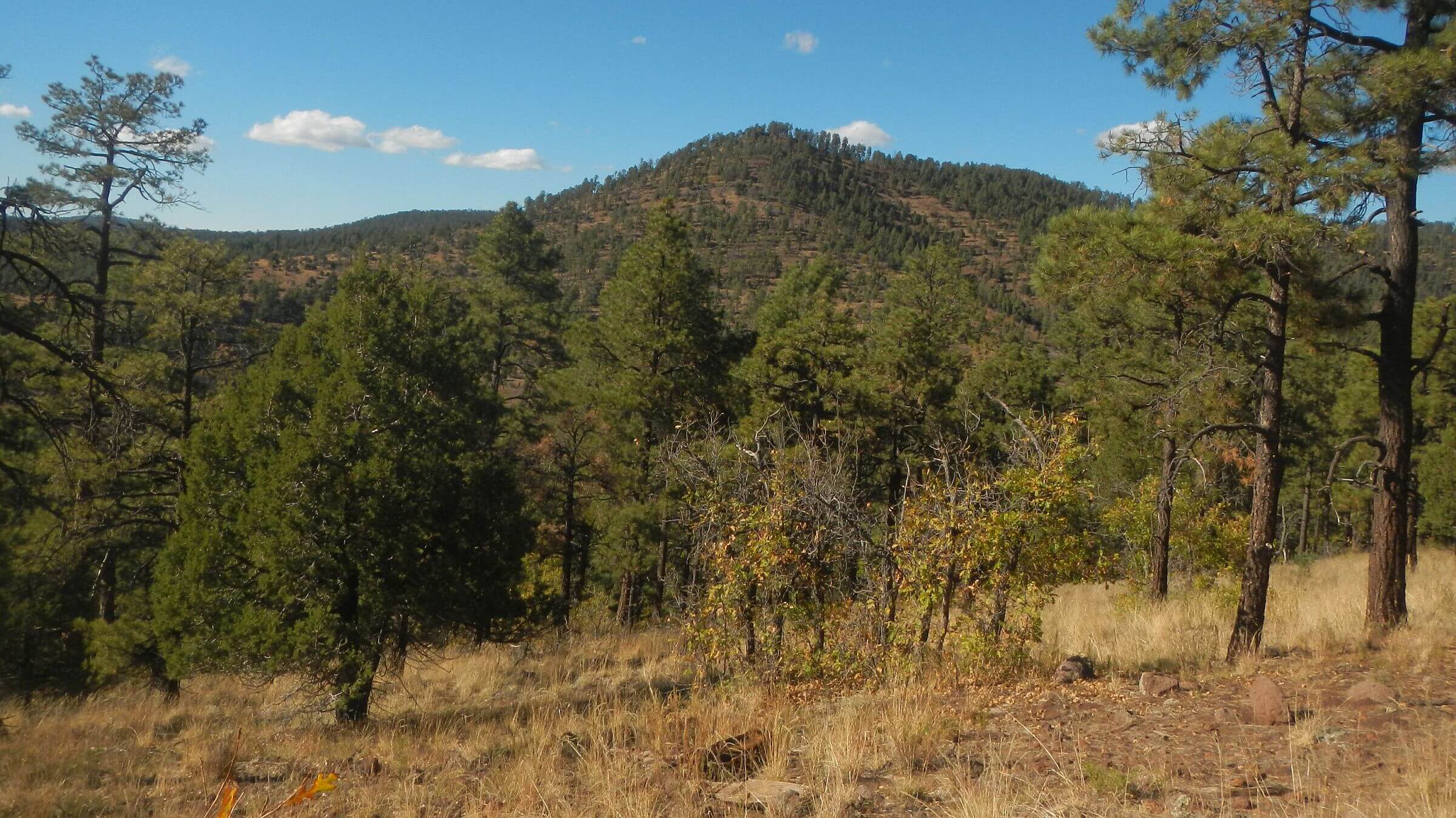 Gila Wilderness, Jerky Mountains, November, 2023