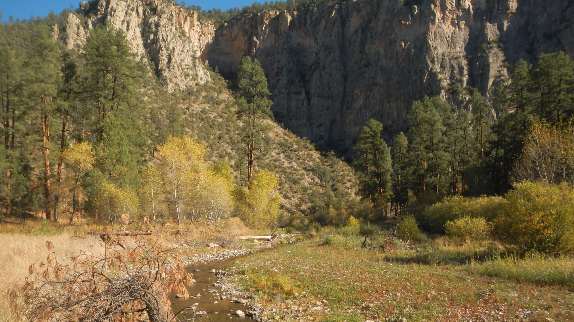 Gila Wilderness, Middle Fork Gila River, November, 2023