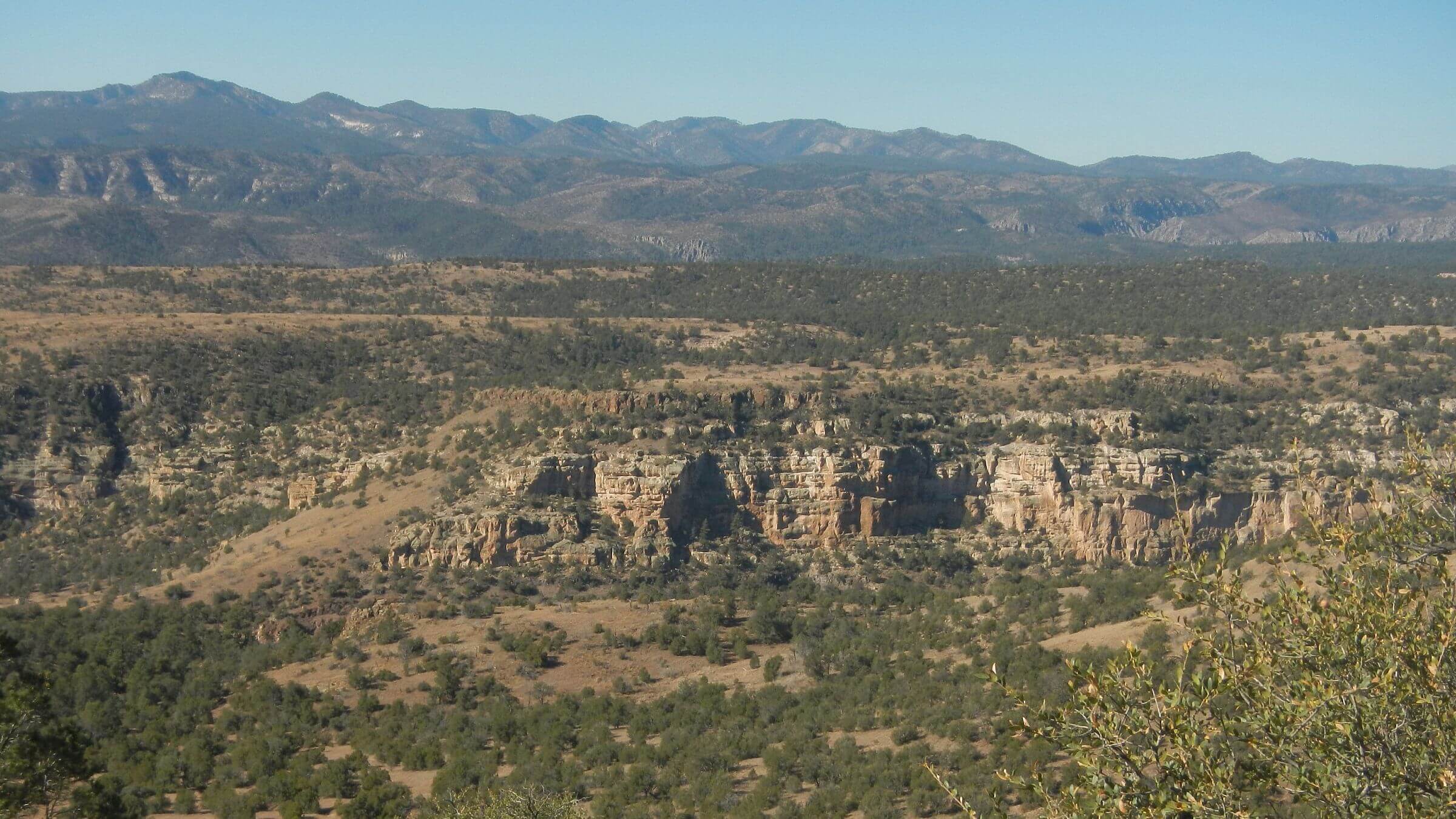 Gila Wilderness, Middle Fork Gila River canyon, Mogollon Mountains, November, 2023