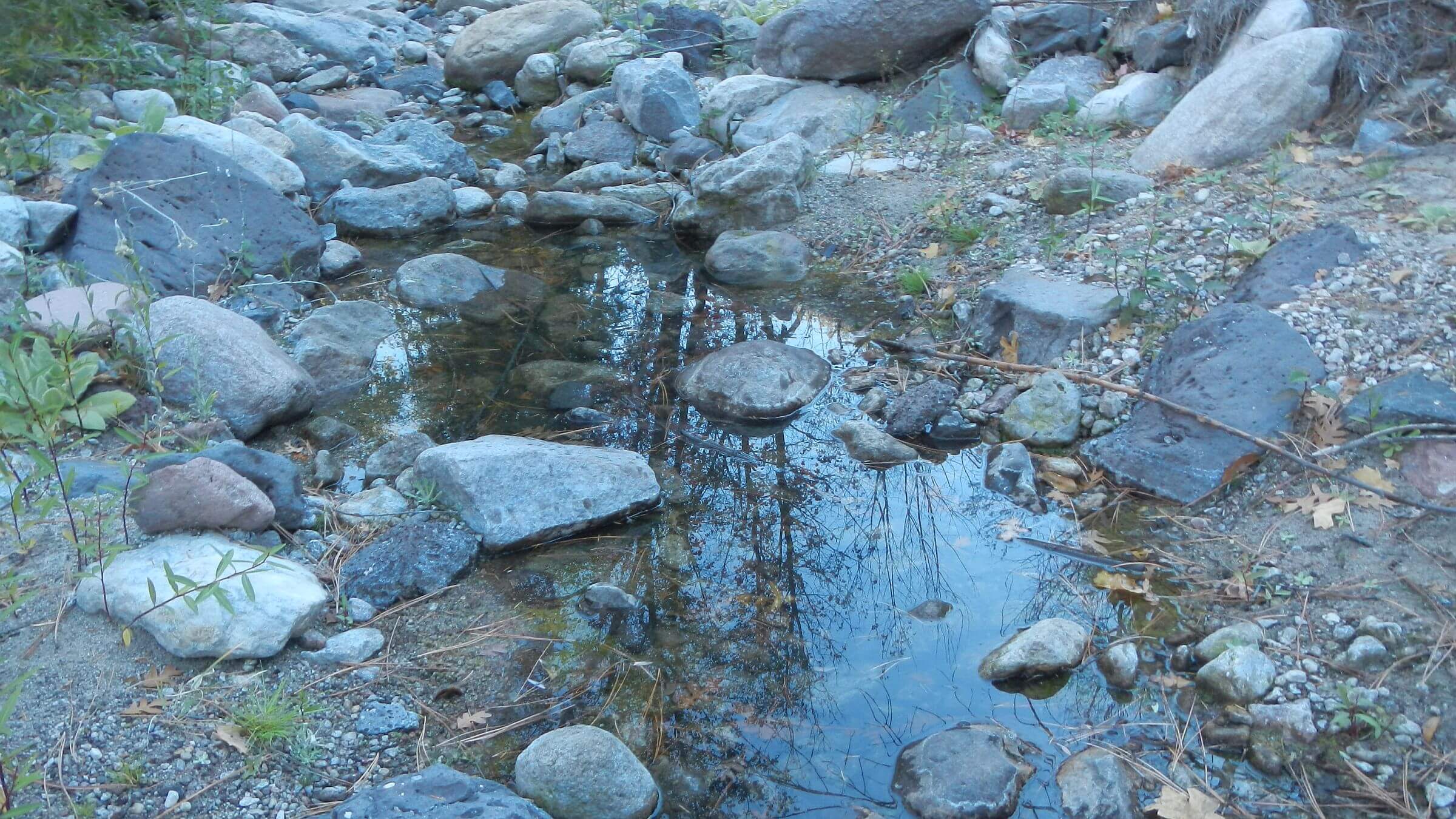 Gila Wilderness, Turkey Creek, November, 2023