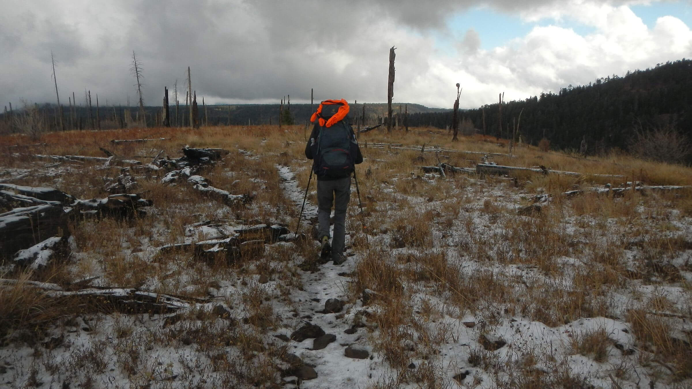 Gila Wilderness, fall snow, November, 2023