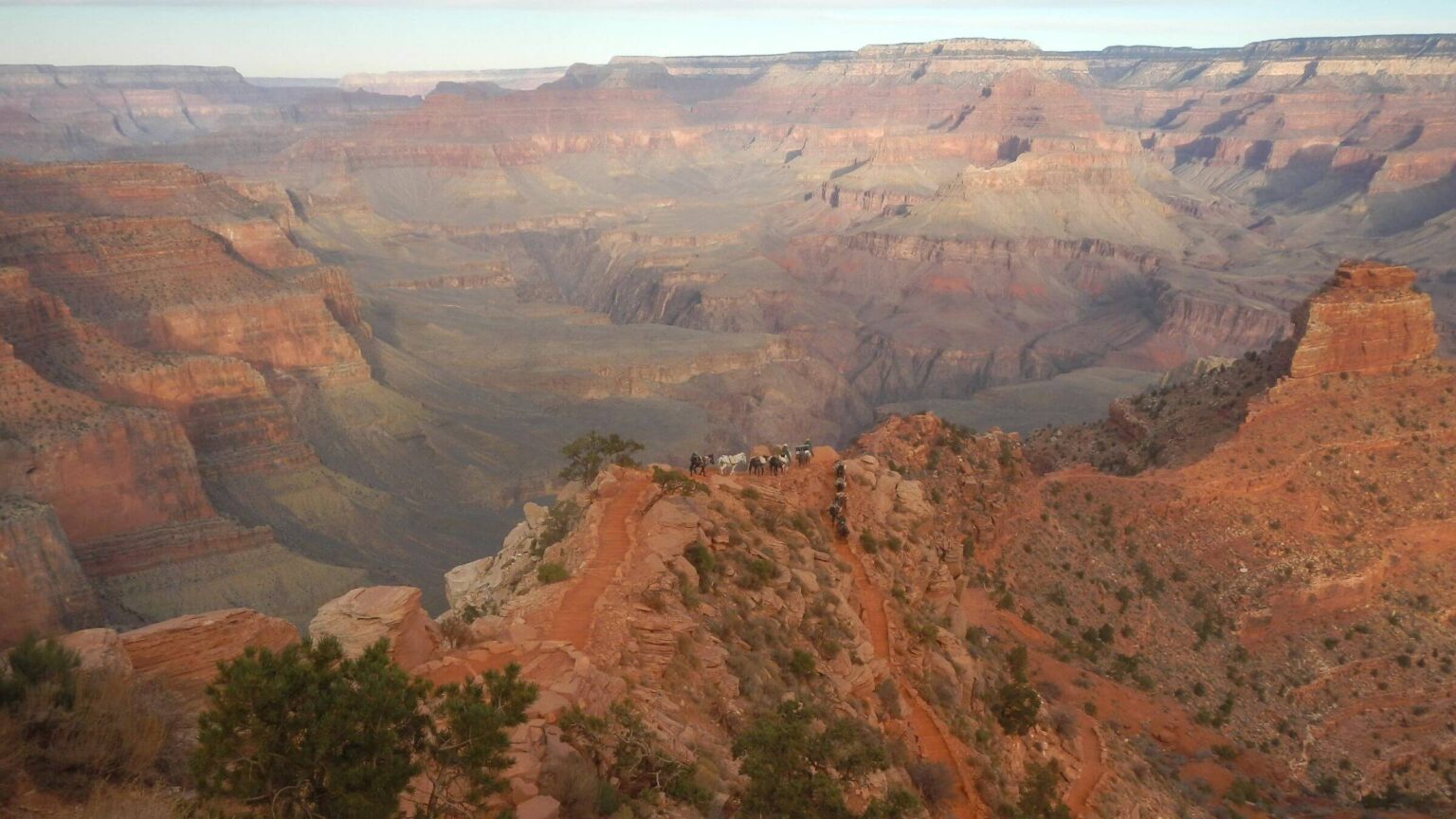 Grand Canyon proposed Wilderness, South Kaibab Trail, mule pack string, December, 2023
