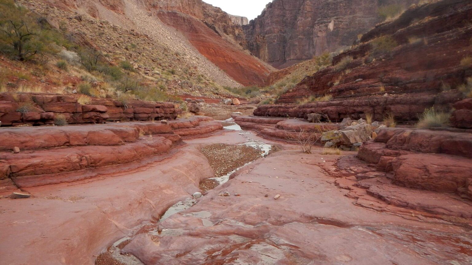 Grand Canyon proposed Wilderness, Red Canyon, December, 2023