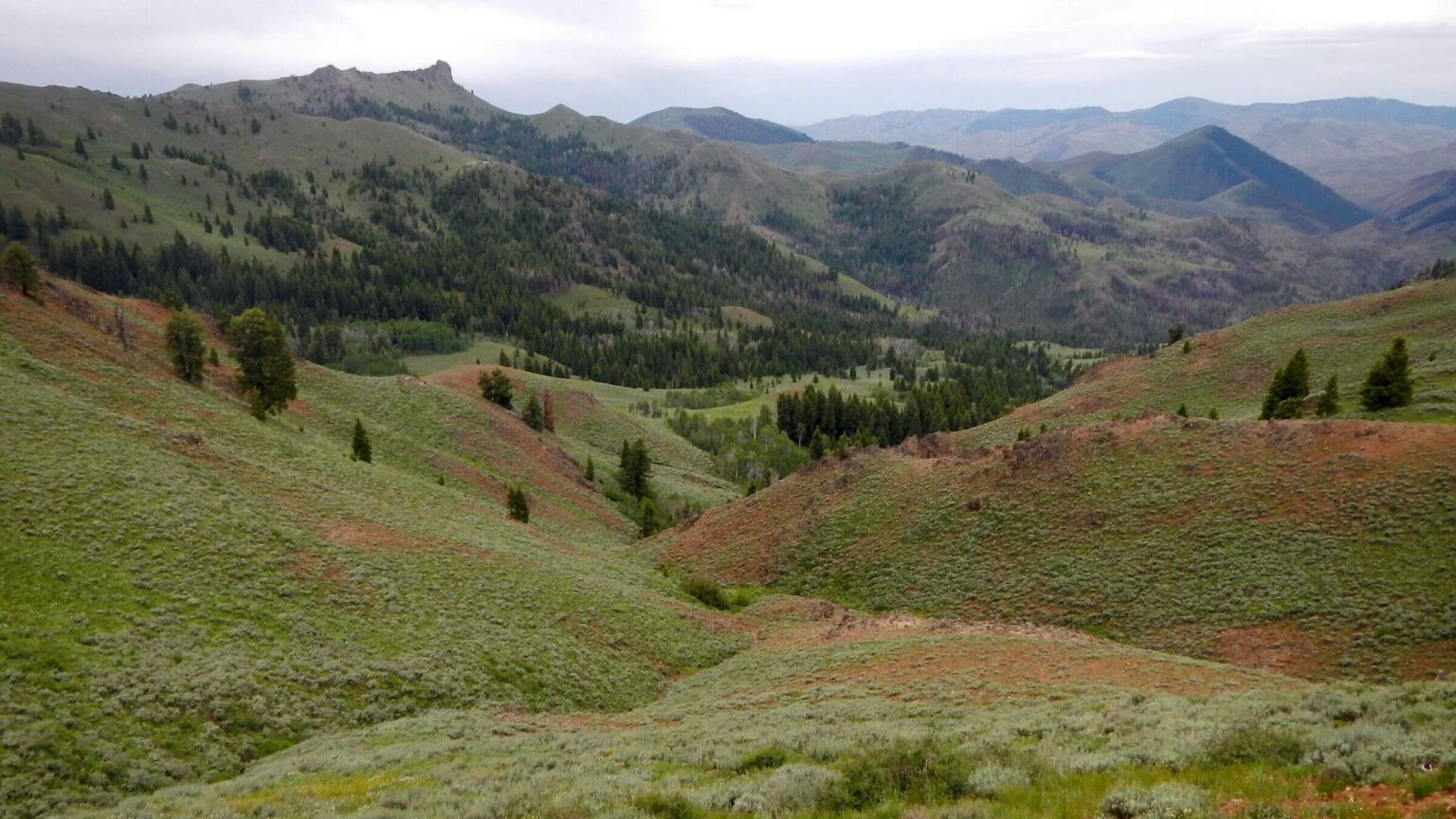 Pioneer Mountains (Idaho), Swede Peak Trail, June