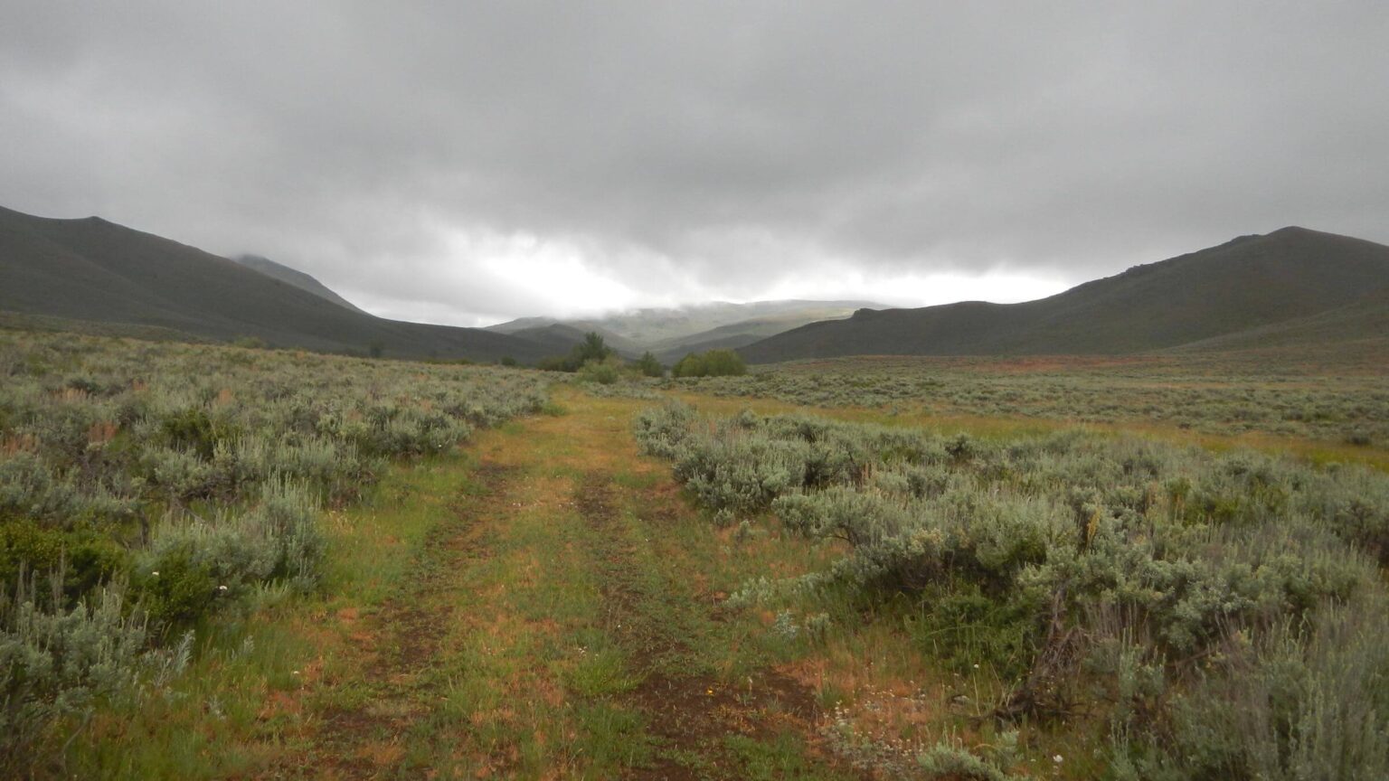 Pioneer Mountains, Flat Top Sheep Company, June