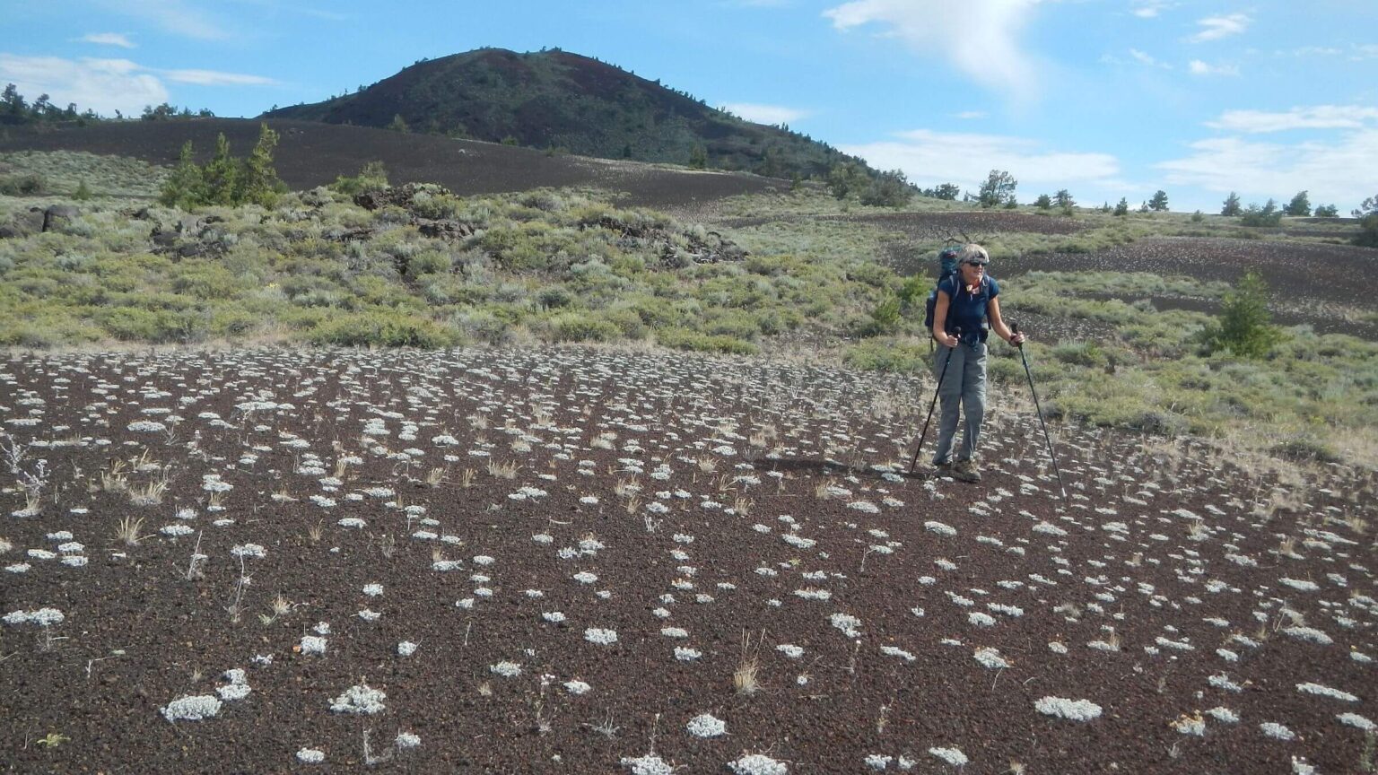 Craters of the Moon Wilderness, Big Cinder Butte, July