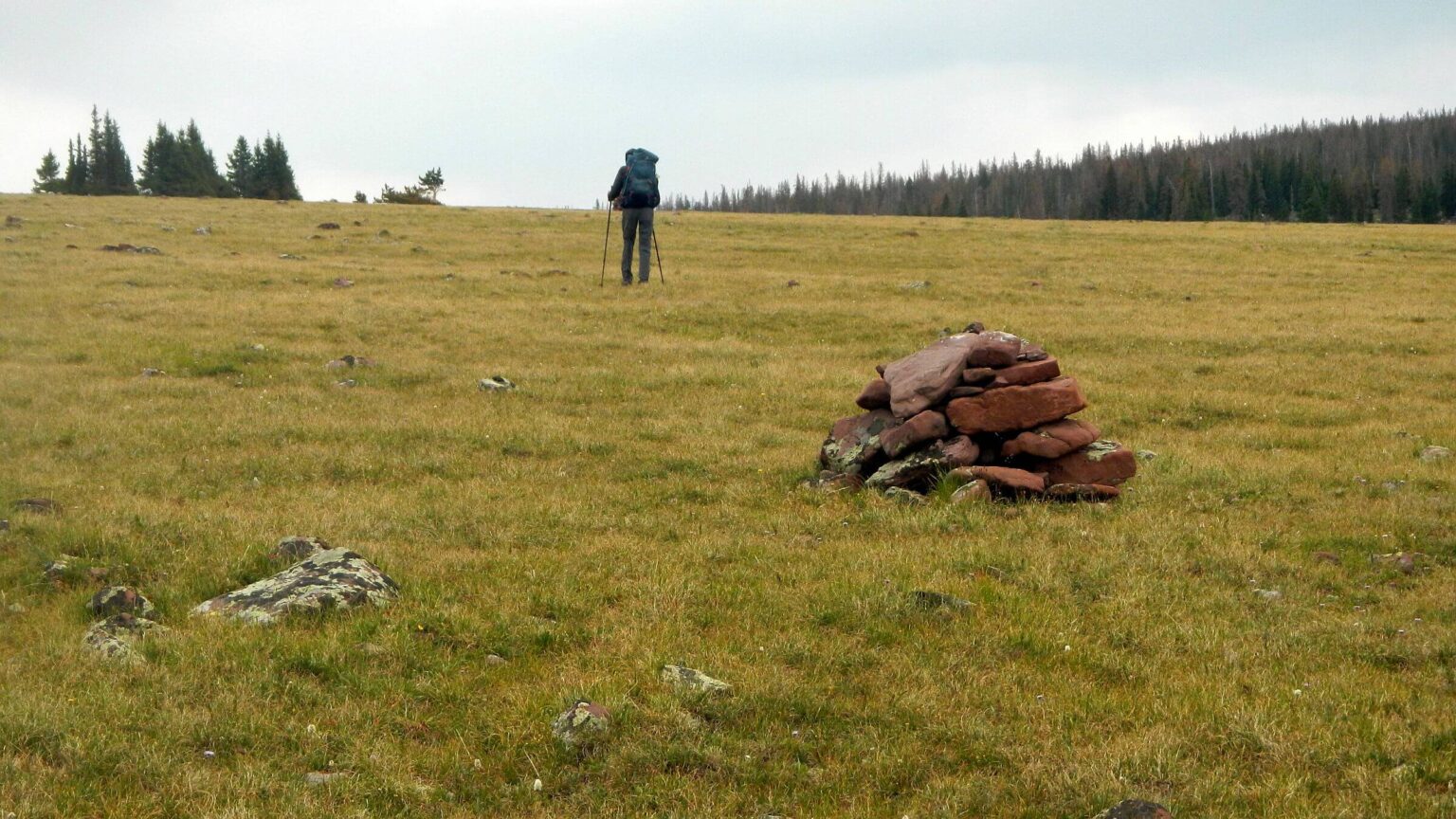 High Uintas Wilderness, McCoy Park, July2021