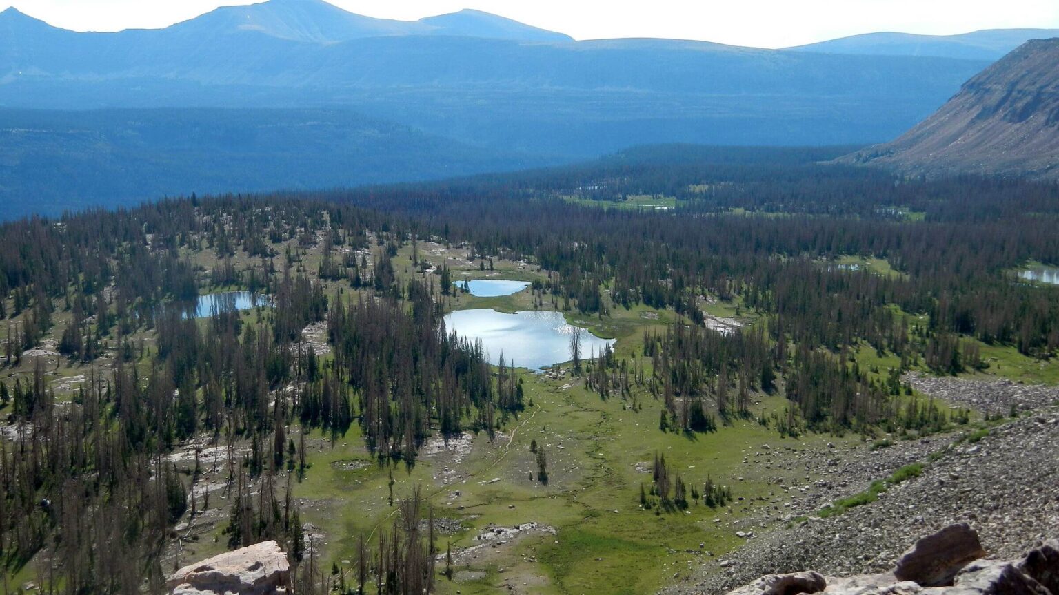 High Uintas Wilderness, Rocky Sea Pass, July2021